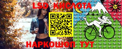 ешки Будённовск