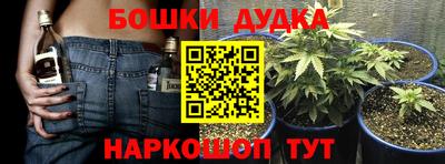 ешки Будённовск