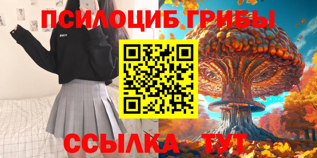 Курчатов  Галлюциногенные грибы GOLDEN TEACHER  Вход с VPN 