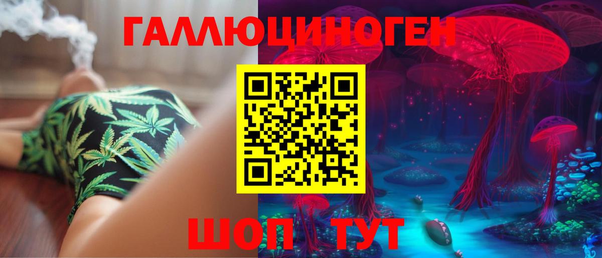 Галлюциногенные грибы Psilocybine cubensis Курчатов